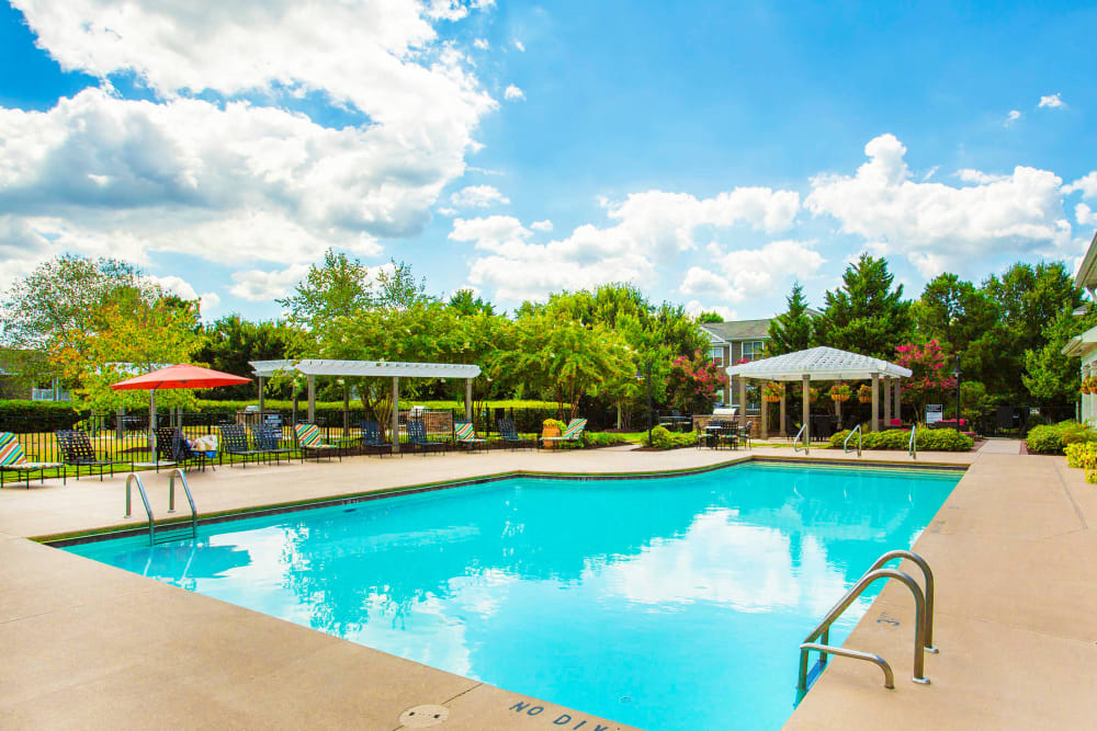Mature trees and chaise lounge chairs around the swimming pool at The Seasons at Umstead in Raleigh, North Carolina