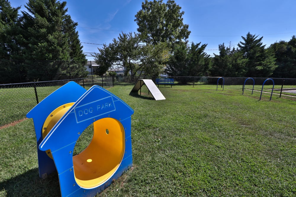 Dog park with agility equipment at Parkway Manor Apartments in Irondequoit, New York