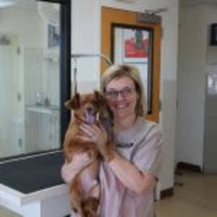 Jackie, groomer at Arizona Avenue Animal Clinic in Chandler, AZ
