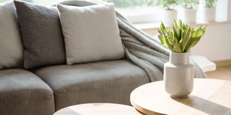 A couch and coffee table in a home at Albany Hill Village in Albany, Georgia