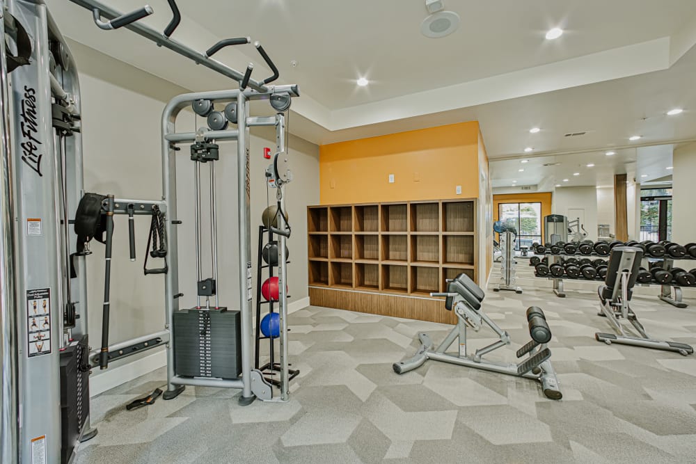 Community Gym at Broadstone Toscano in Houston, Texas