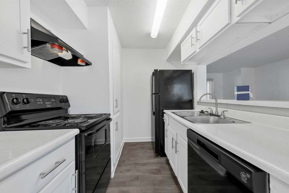 Bright kitchen at Stone Canyon in Arlington 