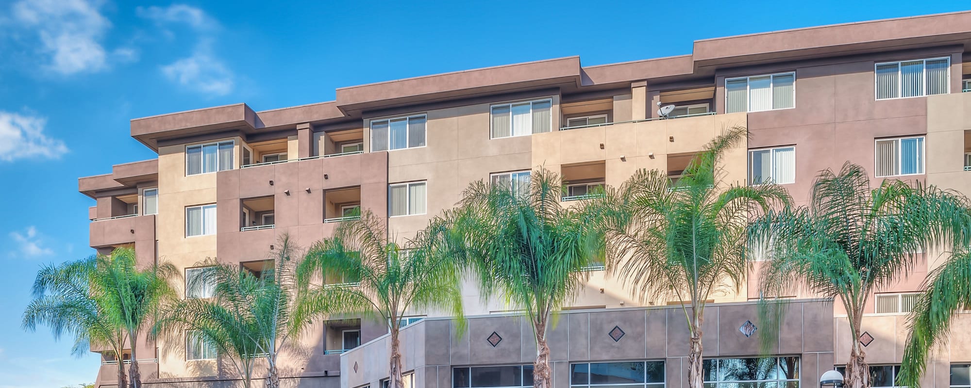 Floor plans at The Pointe Apartments in Brea, California
