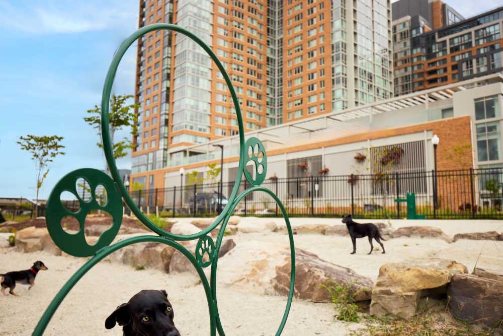 One of Two Dog Parks | Meridian 2250 at Eisenhower Station | Luxury Alexandria VA Apartments