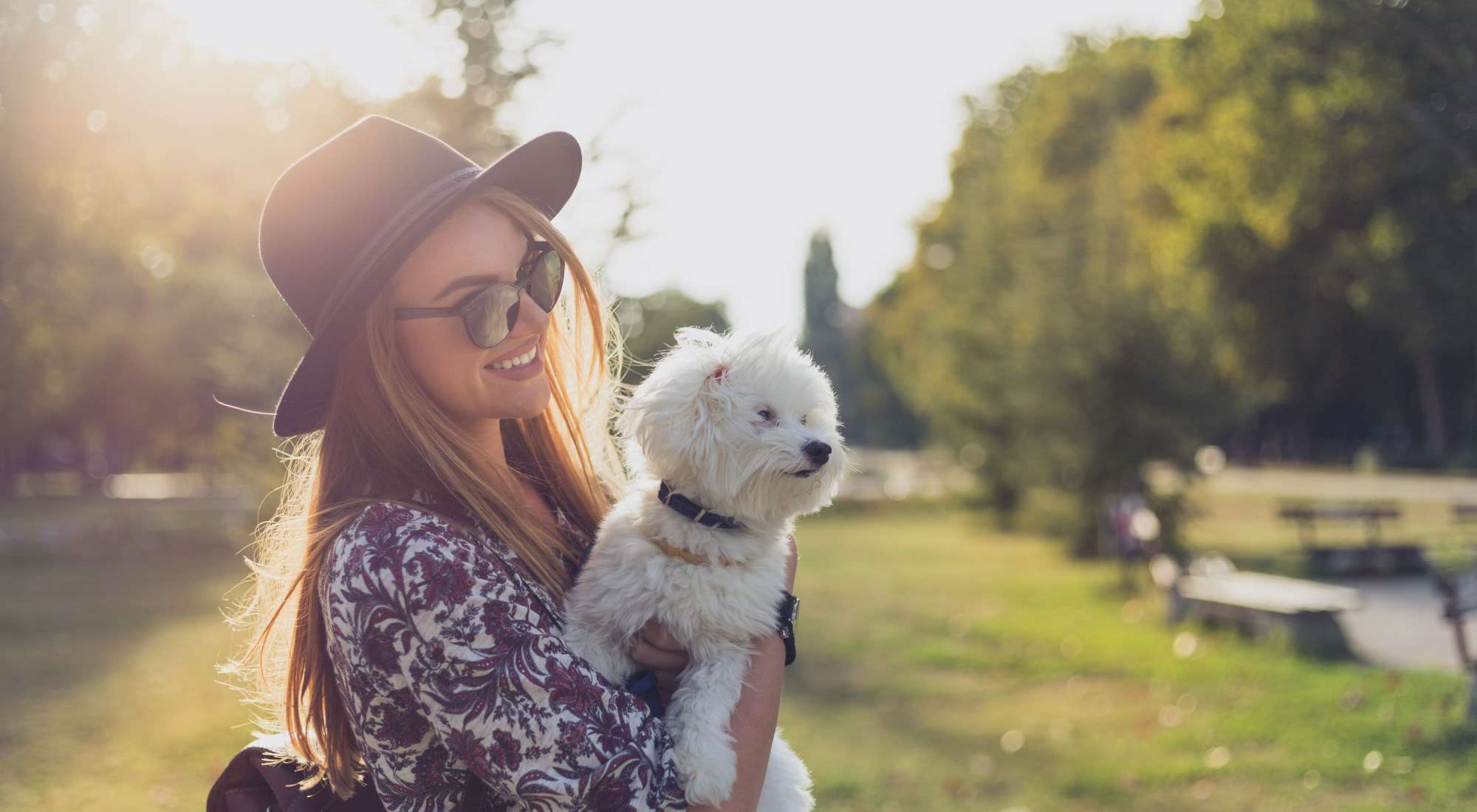 Pet Friendly | 511 Queens in Charlotte, North Carolina