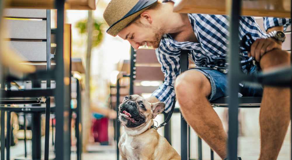 A resident with their pet dog at a coffee shop near at Terraces at Suwanee Gateway in Suwanee, Georgia