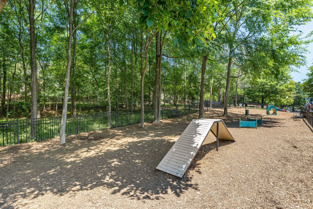 Enclosed dog park area with trees and obstacles at Marquis of Carmel Valley in Charlotte, North Carolina