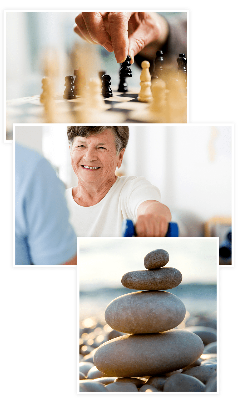 We offer a variety of Senior Lifestyle options at our Clearwater at Riverpark communities