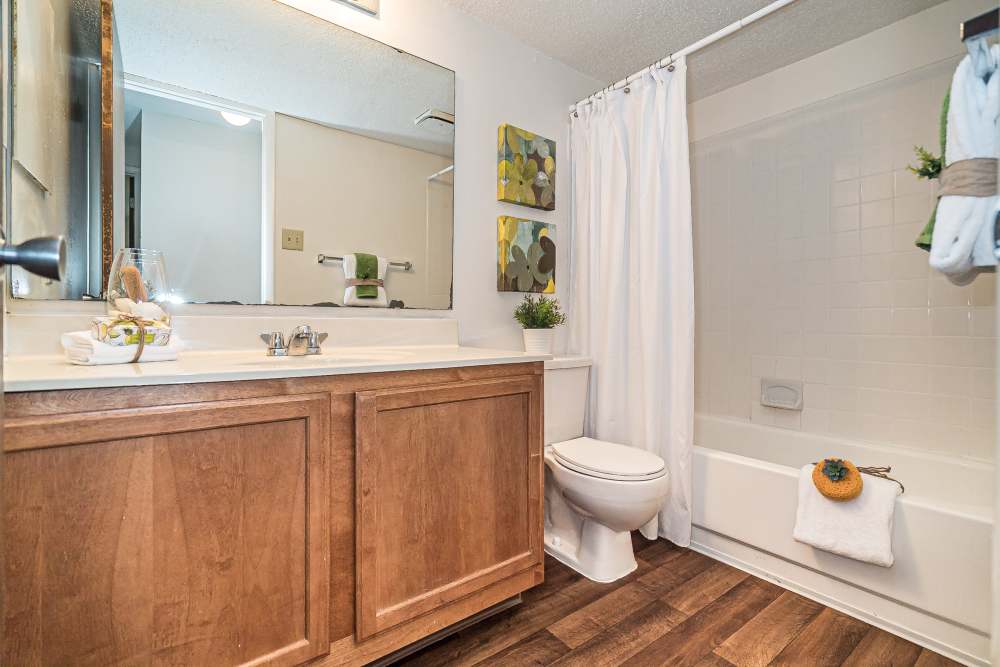 Bright bathroom with commode and bathtub at Waterford West in Manchester, Missouri