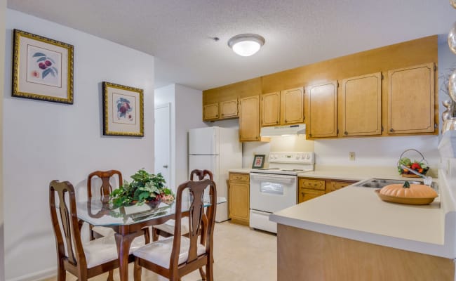Kitchen with plenty of counterspace at Woodbrook Apartment Homes in Monroe, North Carolina