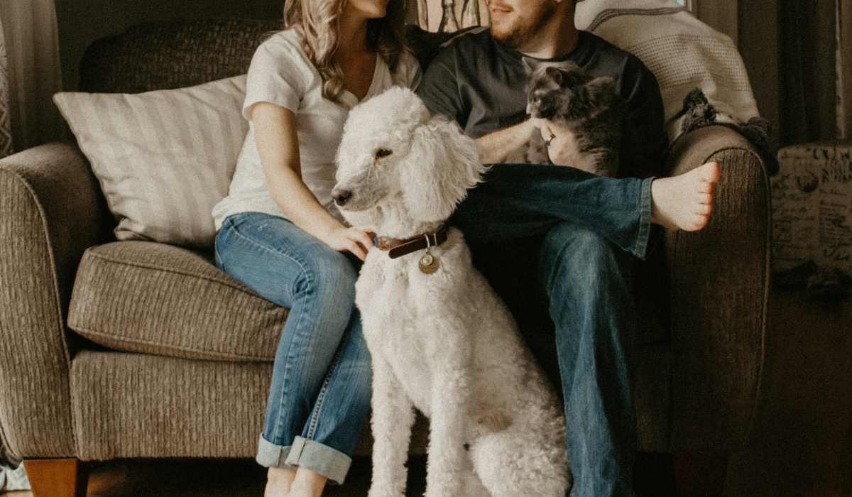 Resident couple with their pets in their pet-friendly apartment at Brixton in Round Rock, Texas