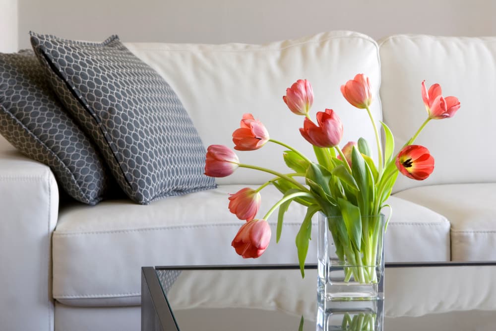 E Street Apartments in Sacramento, California showcase a beautiful living room