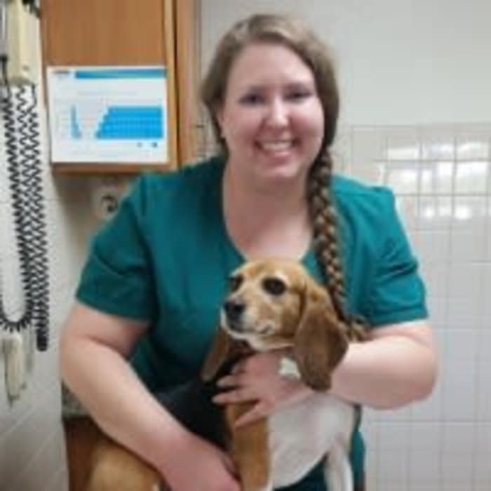 Emily at Arizona Avenue Animal Clinic in Chandler, AZ