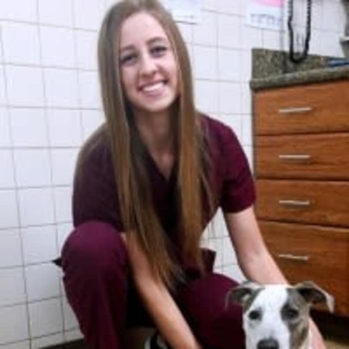 Hailey at Arizona Avenue Animal Clinic in Chandler, AZ