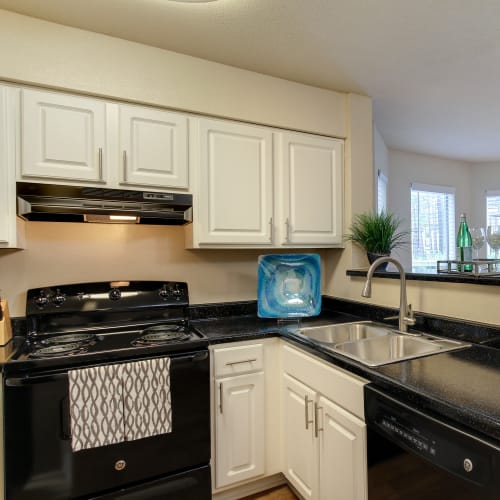 Matching appliances in a kitchen at Mission University Pines in Durham, North Carolina