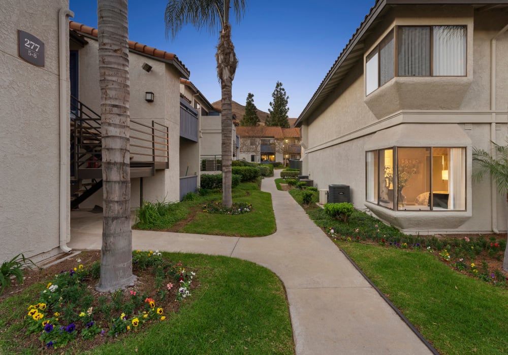 Beautiful palm trees along the pathway though the homes at Sofi at Wood Ranch in Simi Valley, California