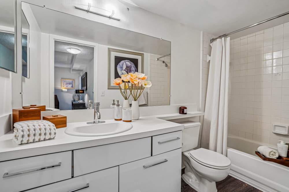 Bathroom with vanity and shower curtain at Citation Club in Farmington Hills, Michigan