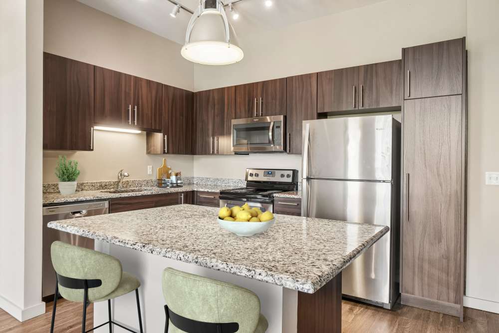 Modern kitchen appliances in Starkweather Lofts Plymouth, Michigan