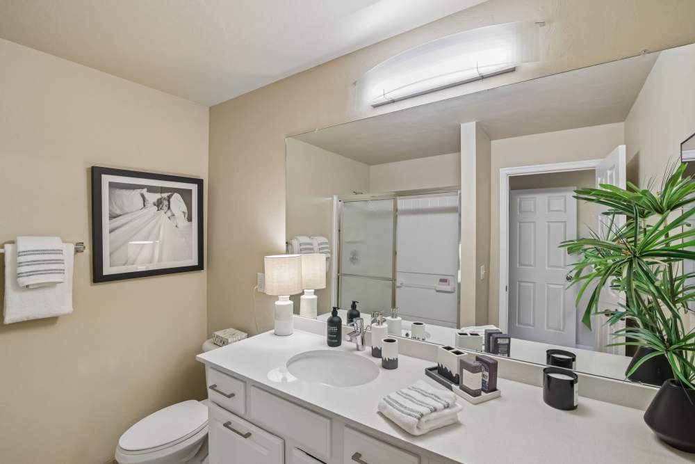 Bathroom vanity area with large mirror, white countertop, and neutral decor at Oro Vista Apartments in Oro Valley, Arizona