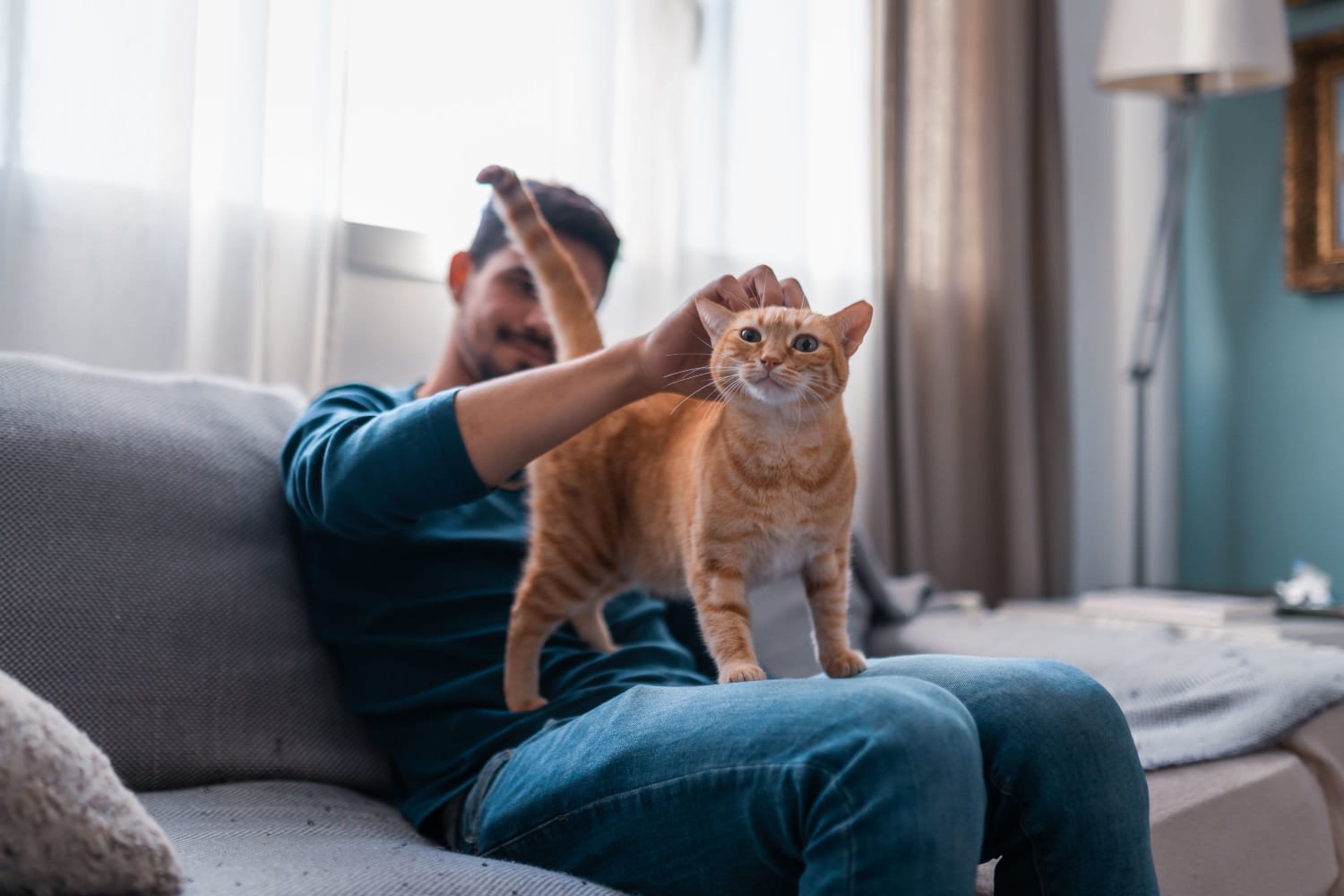 Resident petting his cat in his home at Wright Park House in Tacoma, Washington