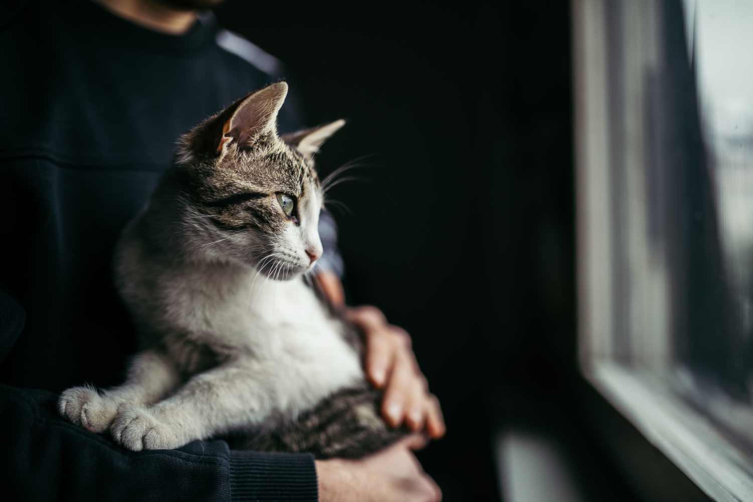 Resident holding her cat in their home at Cambridge Apartments in Athens, Georgia