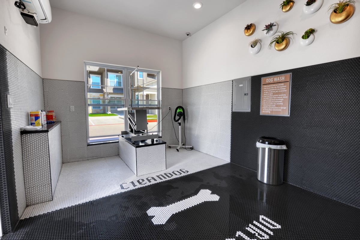 Dog washing area at Alta Tech Ridge in Austin, TX