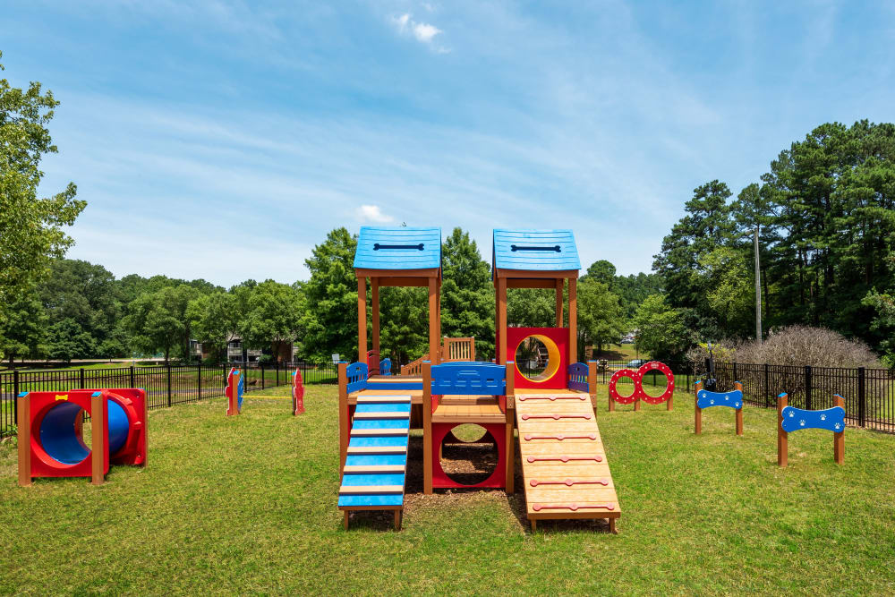Onsite dog park with agility equipment at Aria North Hills in Raleigh, North Carolina