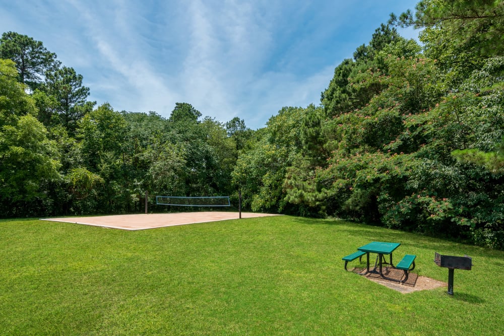 Sand volleyball court and picnic area at Aria North Hills in Raleigh, North Carolina