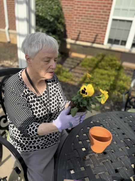 Person gardening outdoors, holding a yellow flower beside a pot at {{location_name}} in {{location_city}}, {{location_state_name}}