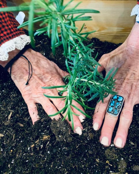 Chelsea Place Memory Planting Project