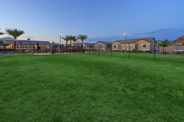 On-site dog park at Litchfield Park Arizona at Estia Windrose