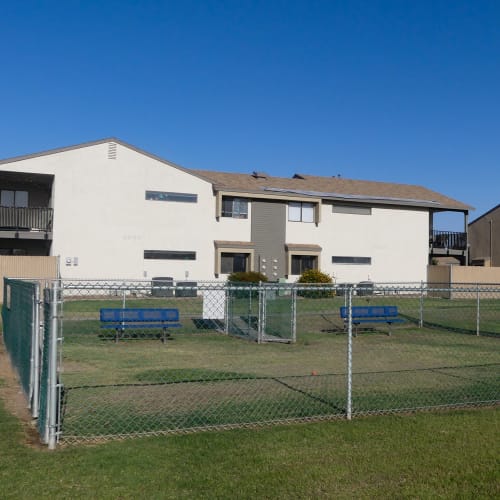 dog park at 16th street in yuma arizona