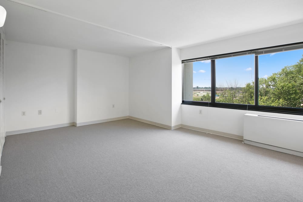 Baltimore Md Senior Apartments For Rent Near Pimlico