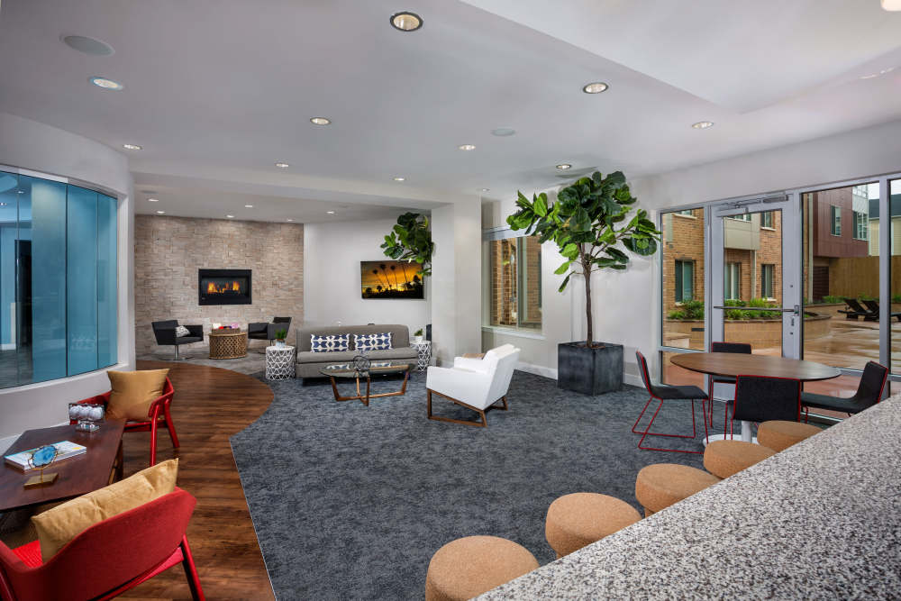 Modern Apartments at The Grove at Parkside in Washington, District of Columbia