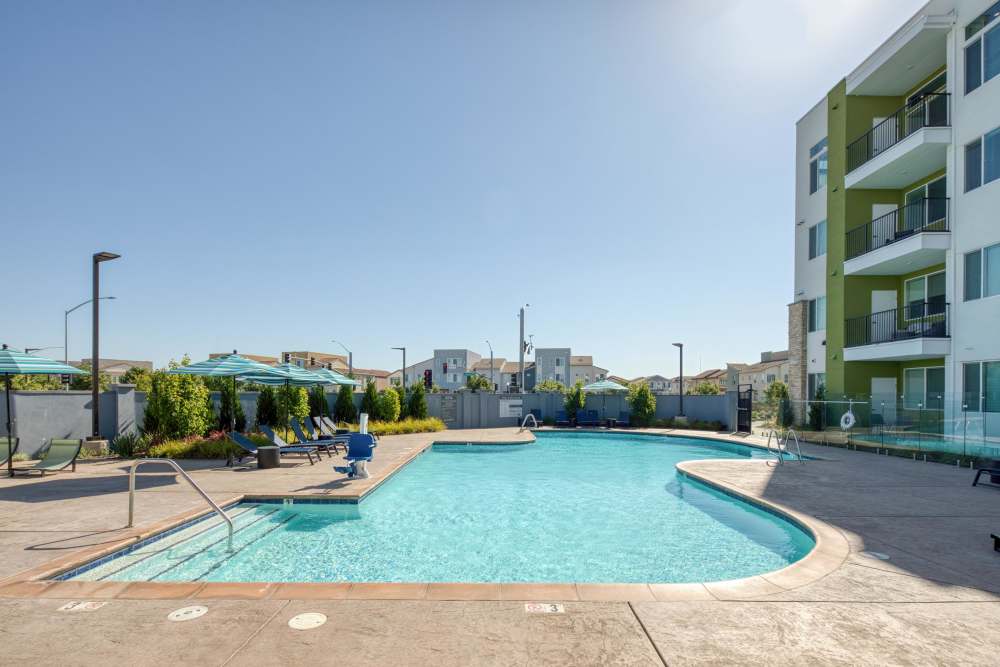 Swimming pool with in-pool loungers at Zeta Luxury Apartments in Sacramento, California