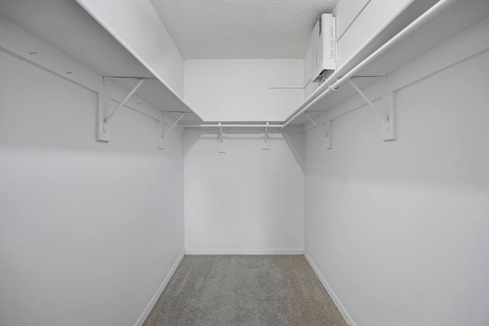 Walk-in closet with carpet flooring at Carlton Arms Of South Lakeland in Lakeland, Florida