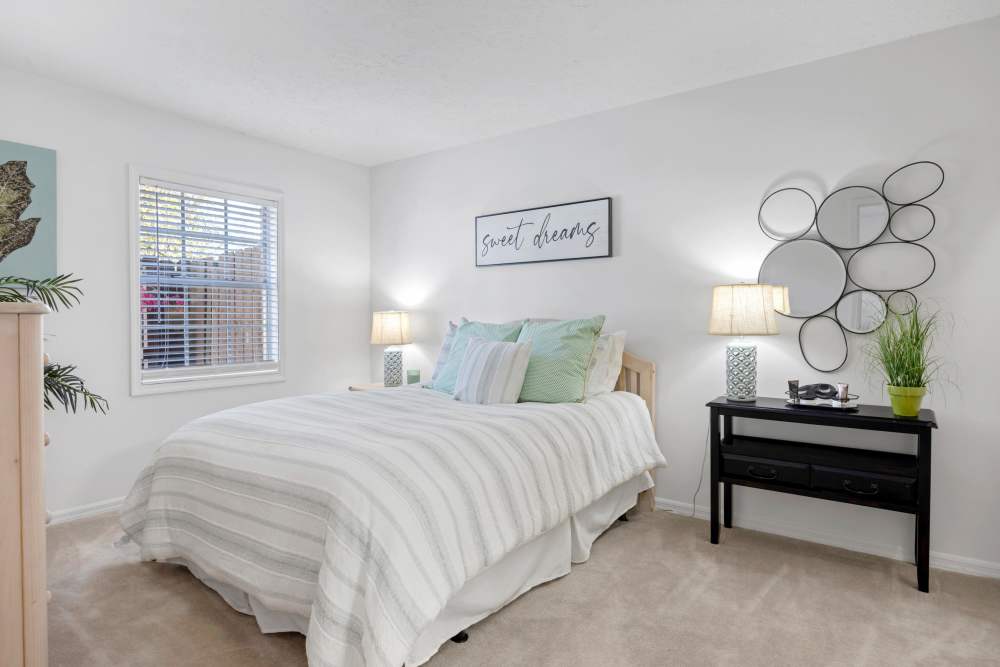 Comfortable bedroom with large bed, side table lamp, carpet flooring  at Carlton Arms Of South Lakeland in Lakeland, Florida