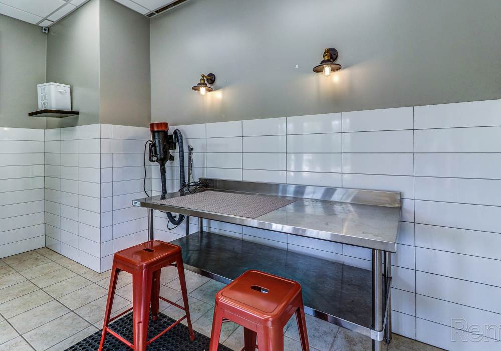 Cleaning area for the pets at The Park Apartment Homes in Prattville, Alabama