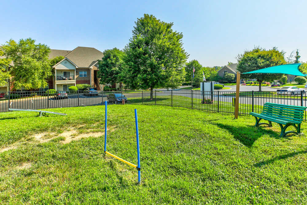 fenced dog park