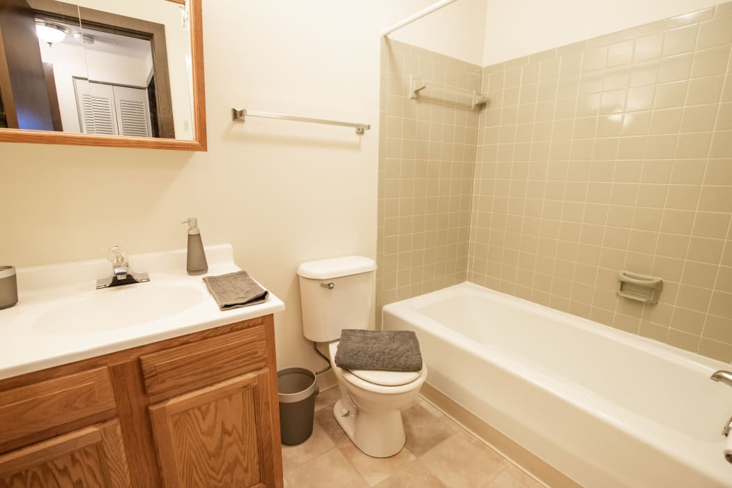 Bathroom at Braeside Apartments in Marcellus