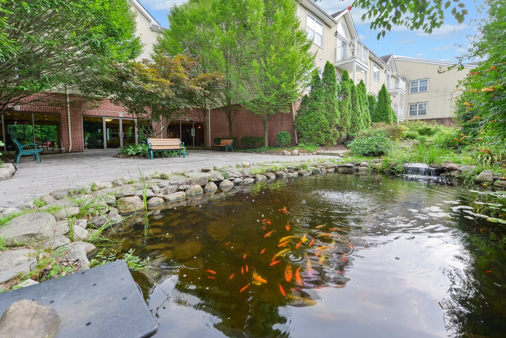 Pond on the ground of The Marquis at the Woods in Webster, New York