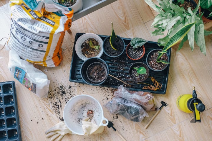 Herb Garden at {{location_name}}