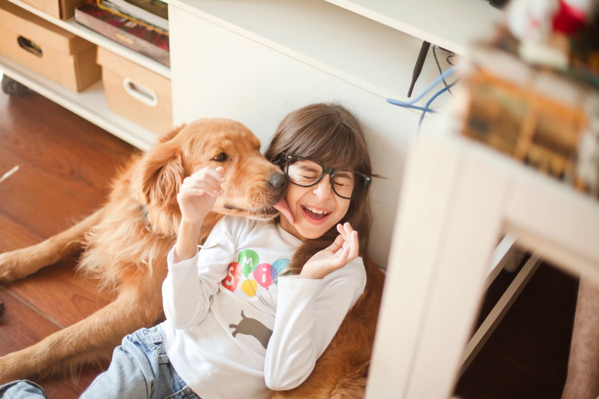 Dog and young girl at The Boulevard in Philomath, Oregon