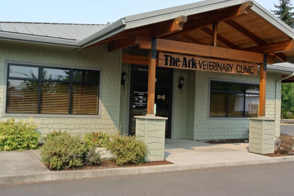 About our Eugene Animal Hospital