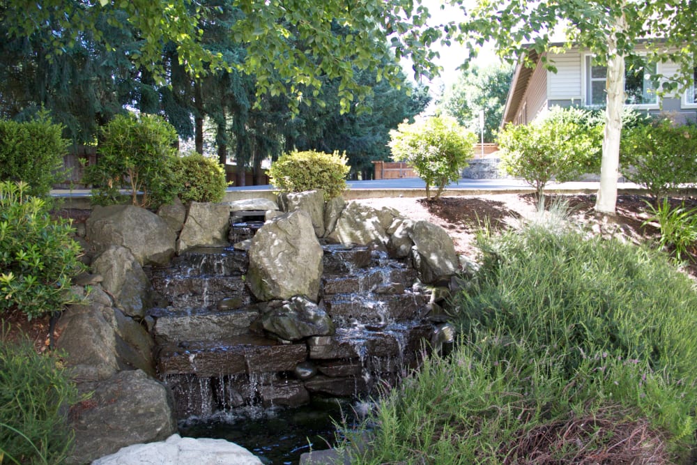 Water fountain outside facility at The Springs at Wilsonville in Wilsonville, Oregon.