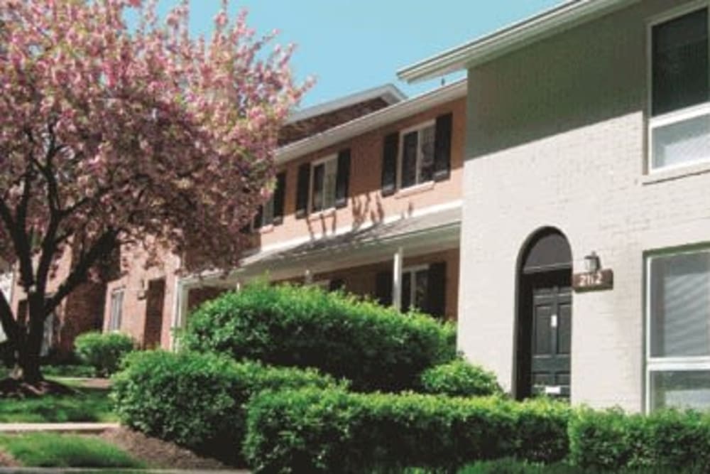 Wheaton Md Apartments In Montgomery County Glenmont