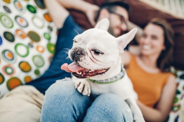 Couple and their dog enjoying their new life at Hawthorne Townhomes in South Salt Lake, Utah