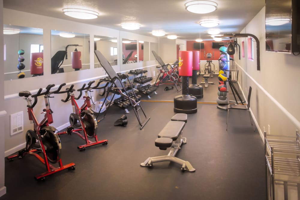 Fitness center at Terra Apartment Homes in Federal Way, Washington