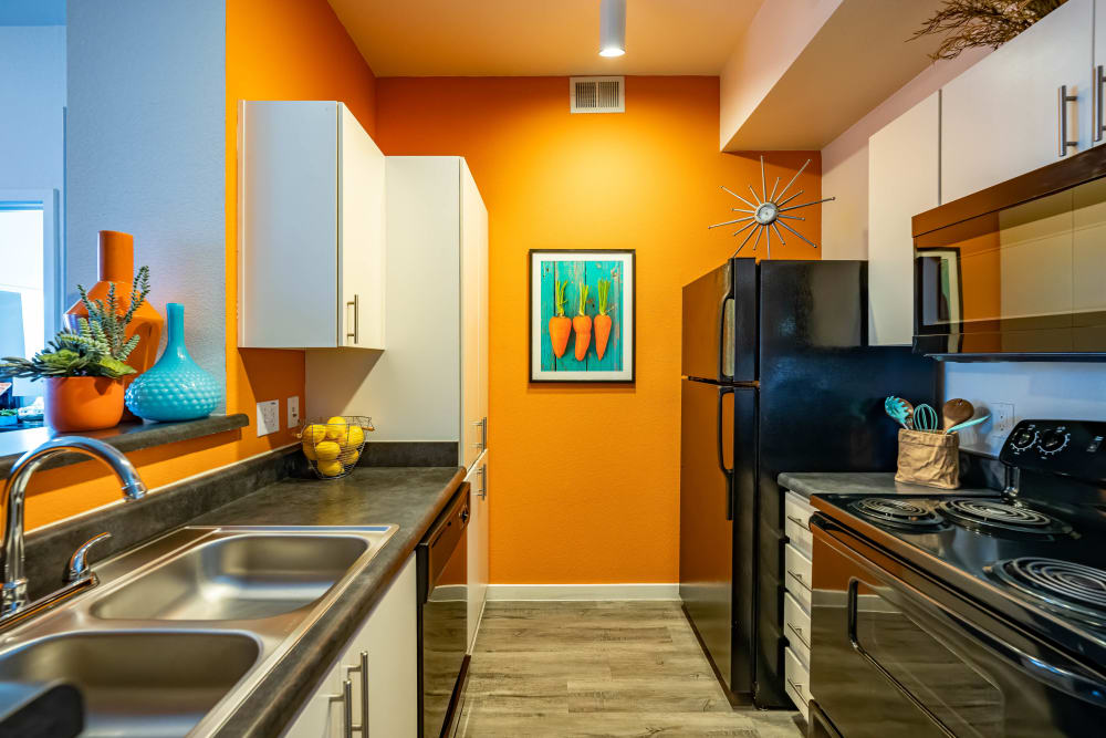 Double stain-less steel sink and sleek kitchen appliances at Tempe Metro in Tempe, Arizona