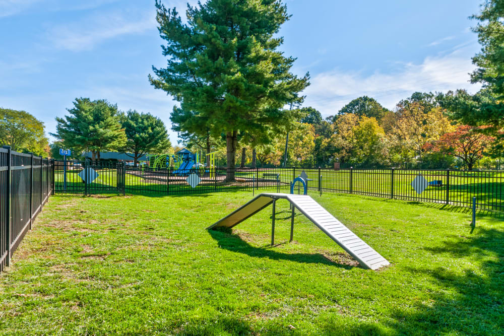 Fenced dog park with agility courses